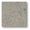 ElectraLock Pale Gray